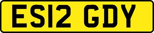 ES12GDY