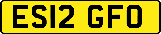 ES12GFO