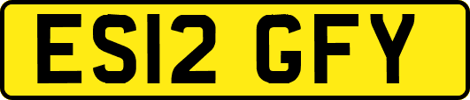 ES12GFY