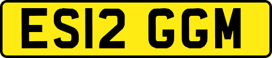 ES12GGM