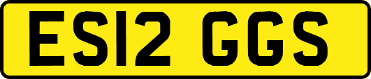 ES12GGS
