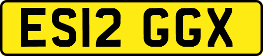 ES12GGX