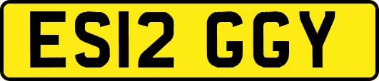 ES12GGY