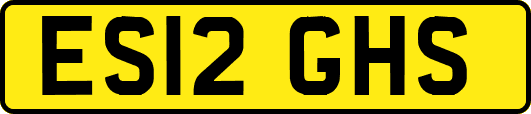 ES12GHS