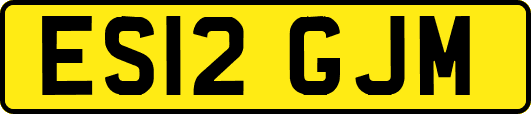 ES12GJM