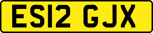 ES12GJX