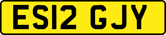 ES12GJY
