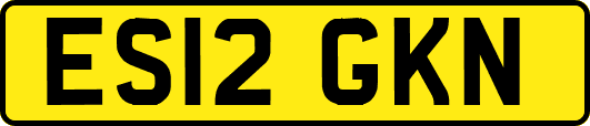 ES12GKN