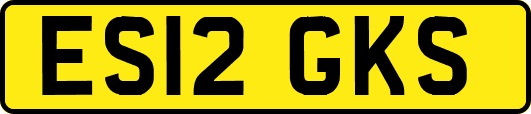 ES12GKS