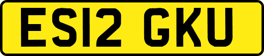 ES12GKU