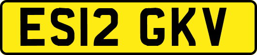 ES12GKV