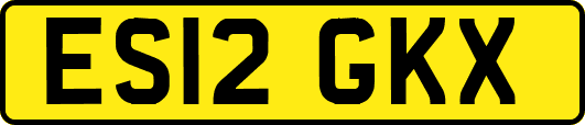 ES12GKX