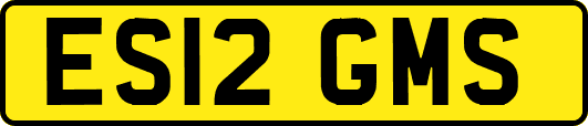 ES12GMS