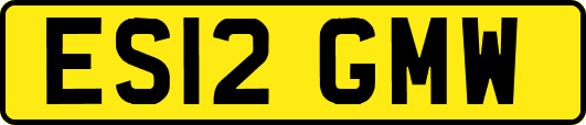 ES12GMW