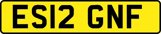 ES12GNF