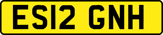 ES12GNH