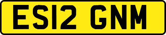 ES12GNM