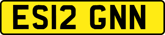 ES12GNN