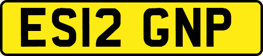 ES12GNP