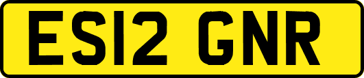 ES12GNR