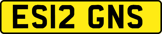 ES12GNS