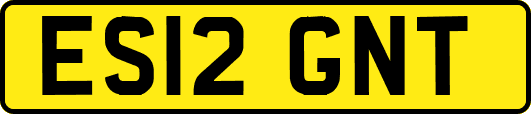 ES12GNT