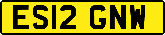 ES12GNW