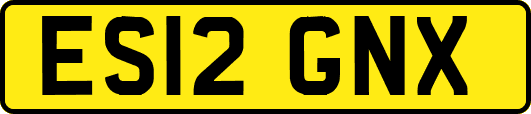 ES12GNX