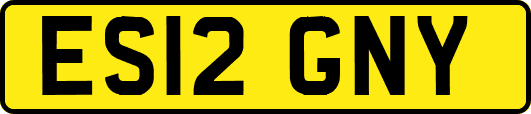 ES12GNY