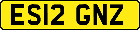 ES12GNZ