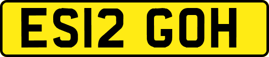 ES12GOH