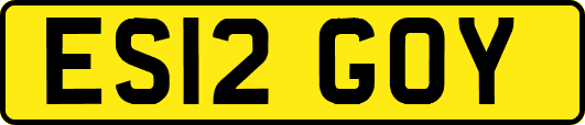 ES12GOY