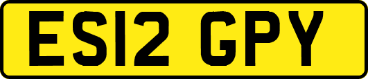 ES12GPY