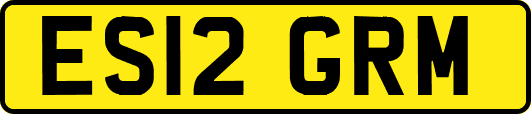 ES12GRM