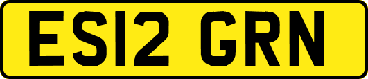 ES12GRN