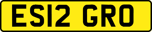 ES12GRO