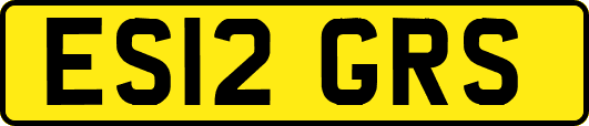 ES12GRS