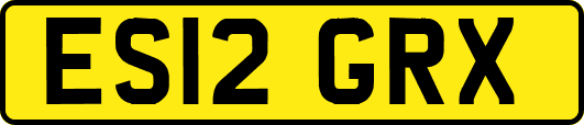 ES12GRX