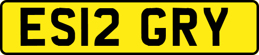 ES12GRY