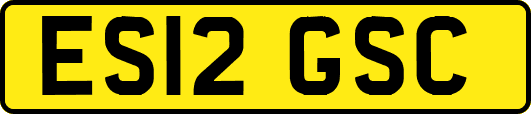ES12GSC
