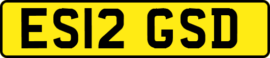 ES12GSD