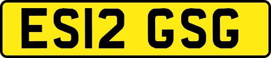 ES12GSG