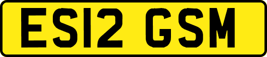 ES12GSM
