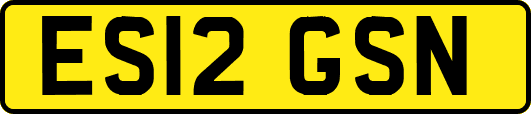 ES12GSN