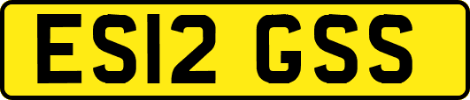 ES12GSS