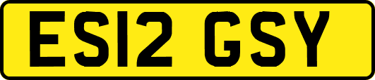 ES12GSY