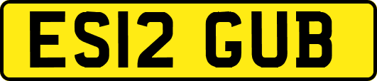 ES12GUB
