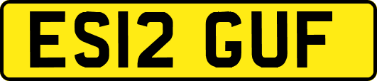 ES12GUF