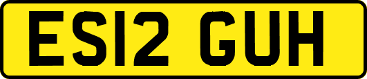 ES12GUH