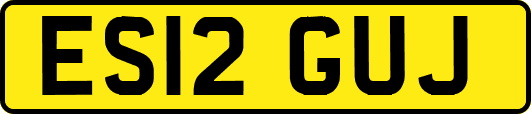 ES12GUJ
